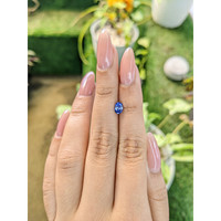 0.80 Ct. Bi Color Sapphire from Ceylon (Sri Lanka) Life Style