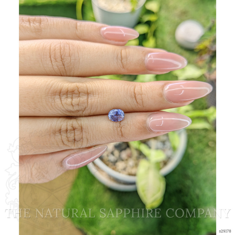 1.33 Ct. Bi Color Sapphire from Ceylon (Sri Lanka)