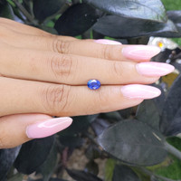 1.06 Ct. Blue Sapphire from Ceylon (Sri Lanka) Life Style