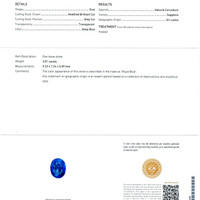 3.01 Ct. Blue Sapphire from Ceylon (Sri Lanka) Scan Report