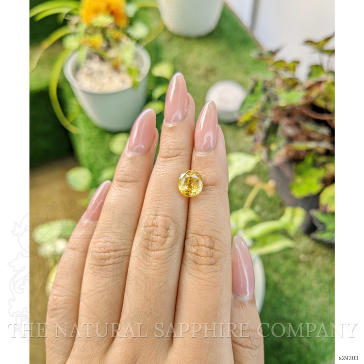 4.08 Ct. Yellow Sapphire from Ceylon (Sri Lanka)
