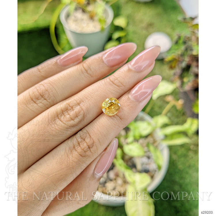 4.08 Ct. Yellow Sapphire from Ceylon (Sri Lanka)