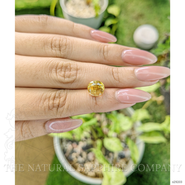 4.08 Ct. Yellow Sapphire from Ceylon (Sri Lanka)