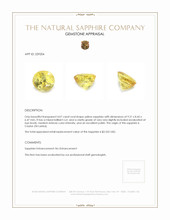 4.07 Ct. Yellow Sapphire from Ceylon (Sri Lanka) Appraisal