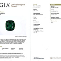 Jewelry Scan Report