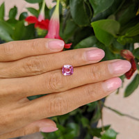2.01 Ct. Pink Sapphire from Ceylon (Sri Lanka) Life Style