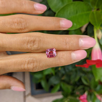 2.68 Ct. Pink Sapphire from Ceylon (Sri Lanka) Life Style