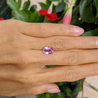 2.62 Ct. Pink Sapphire from Madagascar Life Style