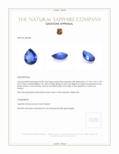 0.98 Ct. Blue Sapphire from Ceylon (Sri Lanka) Appraisal