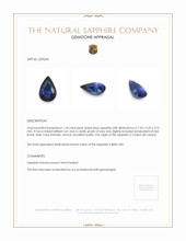 1.18 Ct. Blue Sapphire from Ceylon (Sri Lanka) Appraisal