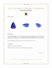 1.02 Ct. Blue Sapphire from Ceylon (Sri Lanka) Appraisal