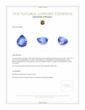 1.03 Ct. Blue Sapphire from Ceylon (Sri Lanka) Appraisal