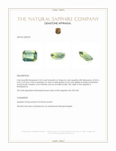 Jewelry Appraisal