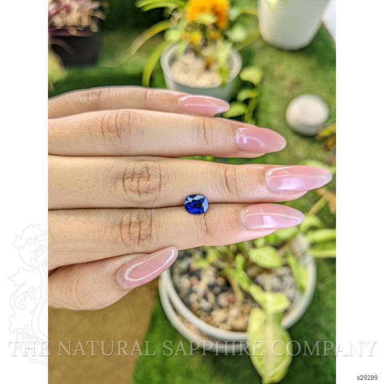 1.47 Ct. Blue Sapphire from Ceylon (Sri Lanka)