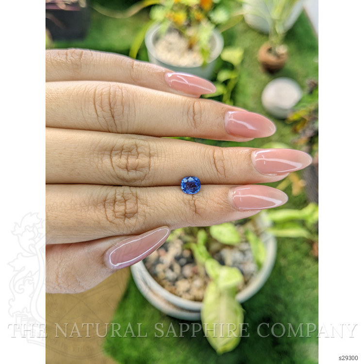 1.01 Ct. Blue Sapphire from Ceylon (Sri Lanka)