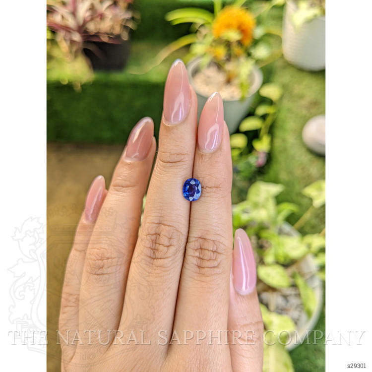 1.69 Ct. Blue Sapphire from Ceylon (Sri Lanka)