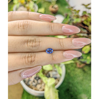 1.03 Ct. Blue Sapphire from Ceylon (Sri Lanka) Life Style