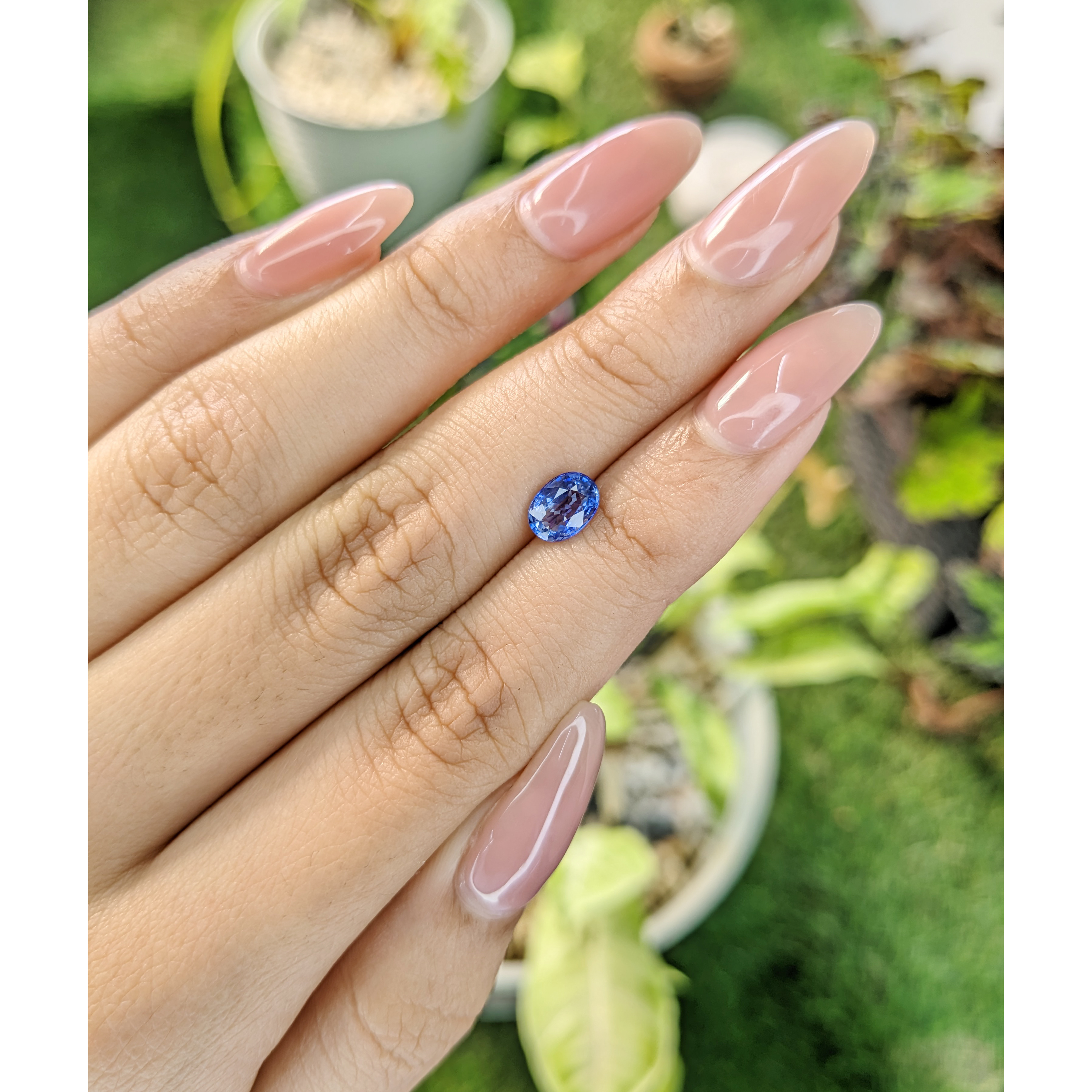 Loose Blue Sapphire - Oval 1.03 Ct. - #S29313 | The Natural