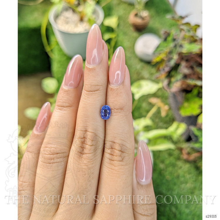 1.53 Ct. Blue Sapphire from Ceylon (Sri Lanka)