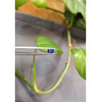 0.44 Ct. Blue Sapphire from Ceylon (Sri Lanka) Life Style