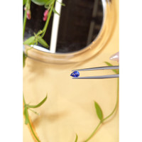 0.61 Ct. Blue Sapphire from Ceylon (Sri Lanka) Life Style