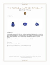0.65 Ct. Blue Sapphire from Ceylon (Sri Lanka) Appraisal