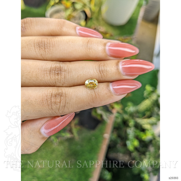 1.46 Ct. Yellow Sapphire from Ceylon (Sri Lanka)