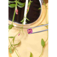 2.16 Ct. Pink Sapphire from Ceylon (Sri Lanka) Life Style