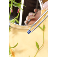 0.69 Ct. Blue Sapphire from Ceylon (Sri Lanka) Life Style