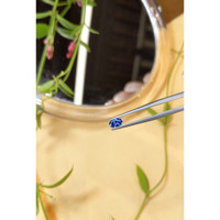 0.48 Ct. Blue Sapphire from Ceylon (Sri Lanka) Life Style