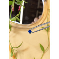 0.57 Ct. Blue Sapphire from Ceylon (Sri Lanka) Life Style