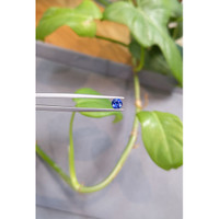 0.52 Ct. Blue Sapphire from Ceylon (Sri Lanka) Life Style