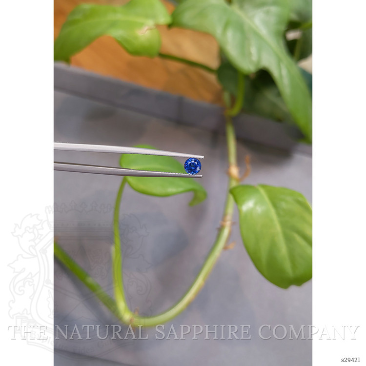0.71 Ct. Blue Sapphire from Ceylon (Sri Lanka)
