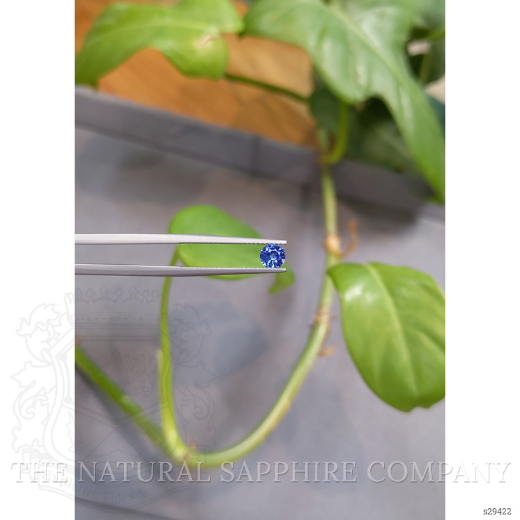 0.51 Ct. Blue Sapphire from Ceylon (Sri Lanka)
