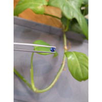 0.52 Ct. Blue Sapphire from Ceylon (Sri Lanka) Life Style