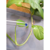 0.46 Ct. Blue Sapphire from Ceylon (Sri Lanka) Life Style