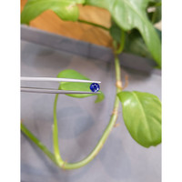 0.52 Ct. Blue Sapphire from Ceylon (Sri Lanka) Life Style