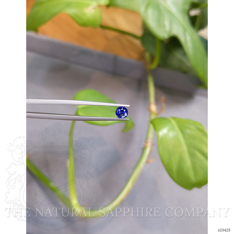0.52 Ct. Blue Sapphire from Ceylon (Sri Lanka)