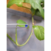 0.46 Ct. Blue Sapphire from Ceylon (Sri Lanka) Life Style
