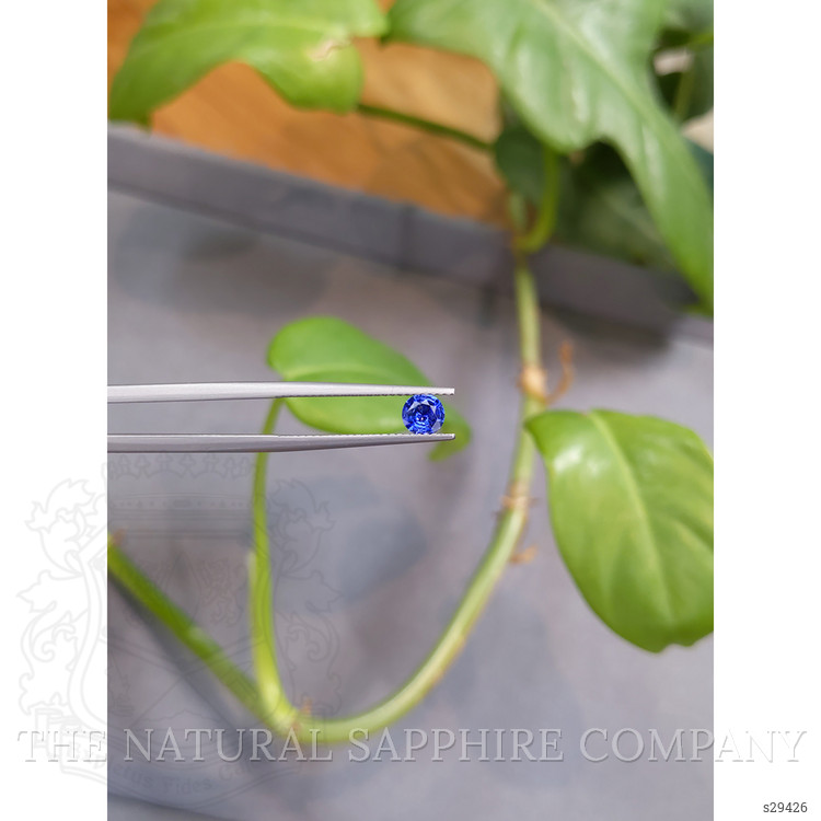 0.46 Ct. Blue Sapphire from Ceylon (Sri Lanka)