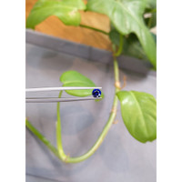 0.60 Ct. Blue Sapphire from Madagascar Life Style