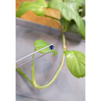 0.53 Ct. Blue Sapphire from Madagascar Life Style