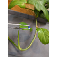 0.60 Ct. Blue Sapphire from Ceylon (Sri Lanka) Life Style