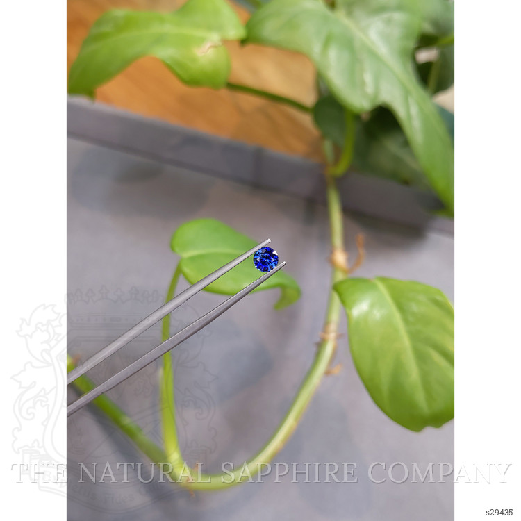 0.57 Ct. Blue Sapphire from Ceylon (Sri Lanka)
