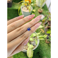 1.60 Ct. Blue Sapphire from Ceylon (Sri Lanka) Life Style