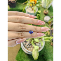 1.60 Ct. Blue Sapphire from Ceylon (Sri Lanka) Life Style