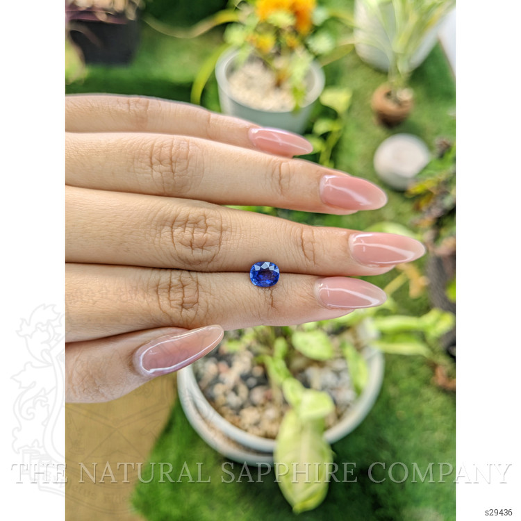 1.60 Ct. Blue Sapphire from Ceylon (Sri Lanka)