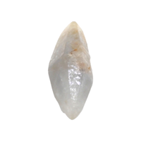 24.42 Ct. Blue Sapphire Crystal from Ceylon (Sri Lanka) Video