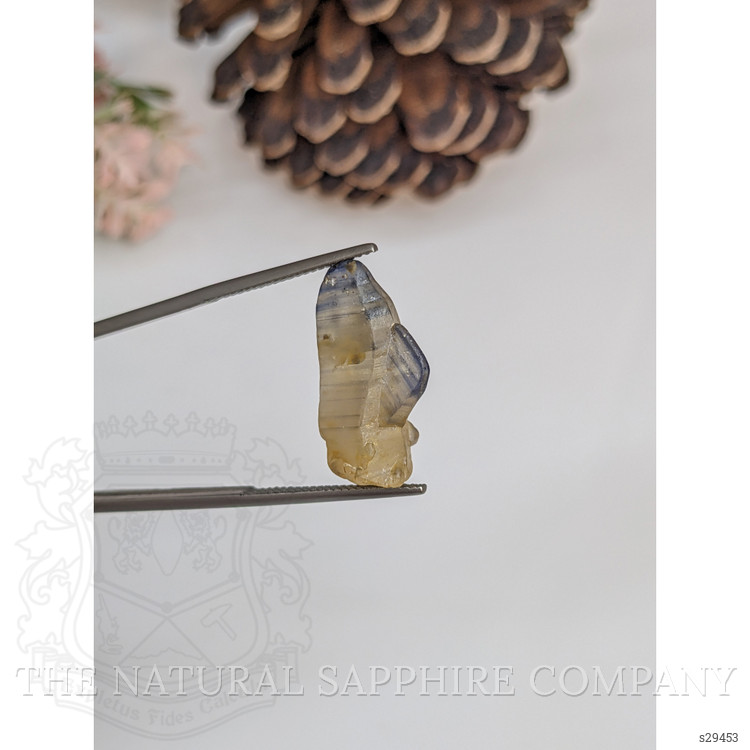 15.46 Ct. Bi Color Rough Sapphire from Ceylon (Sri Lanka)