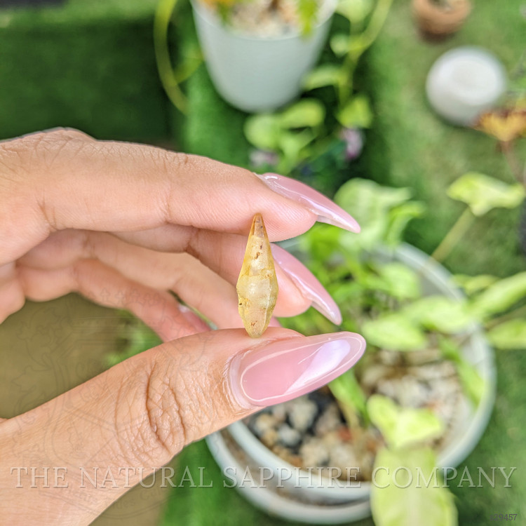 6.06 Ct. Yellow Sapphire Crystal from Ceylon (Sri Lanka)